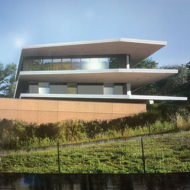 Project Image 2